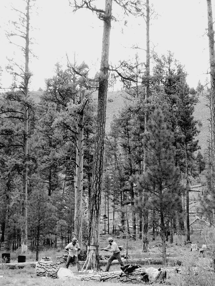 Indian Creek Saw ClassPayette National Forest. Photo by Jesse Lutz. Credit: US Forest Service. Original public domain image…