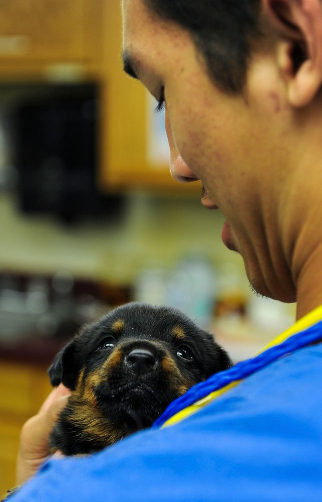 Bear, a four week old puppy, came into the Falls Road Animal Hospital in Baltimore, Md., to recieve treatment for heavy…