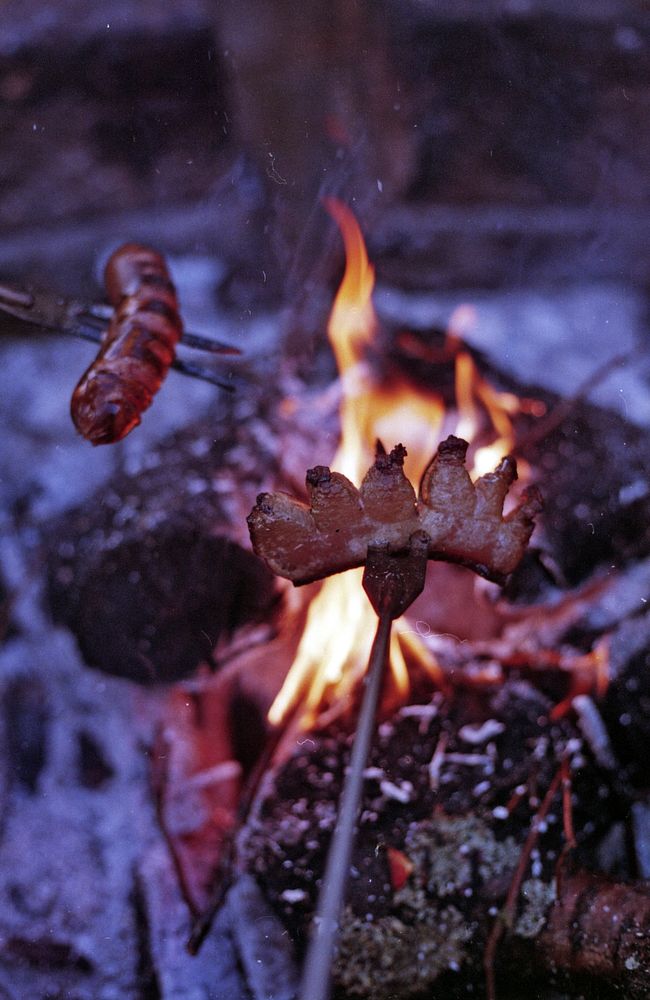 Szalonnas&uuml;t&eacute;s / Hungarian barbecue.