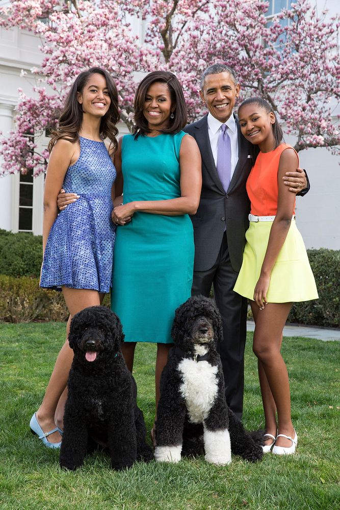 President Barack Obama, First Lady Michelle Obama, and daughters Malia and Sasha pose for a family portrait with Bo and…