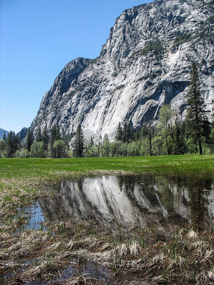 Meadow Reflections &mdash; Climate change and warming temperatures affect all landscapes high and low &ndash; including…