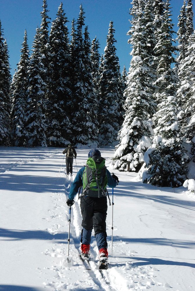 Crosscountry skiers winter skiing snowshoeing. Original public domain image from Flickr