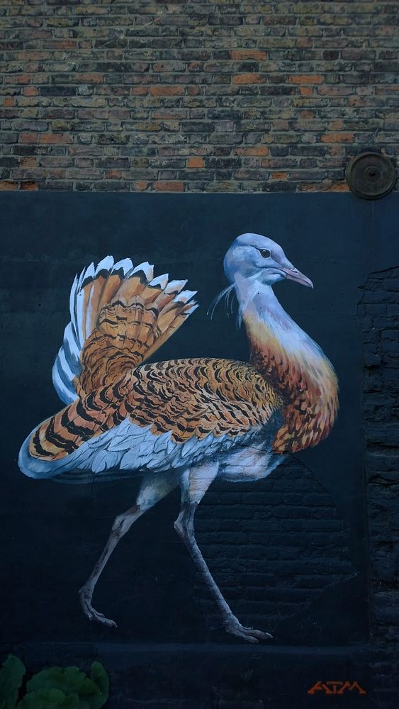 Street art near the old bit of The Royal London Hospital in Whitechapel London.