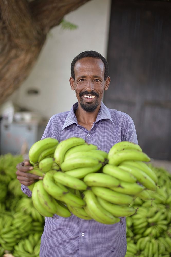 A worker shows off a bunch of bananas at the premises of Tass Enterprise, a fruit company operating in Wadajir district on…