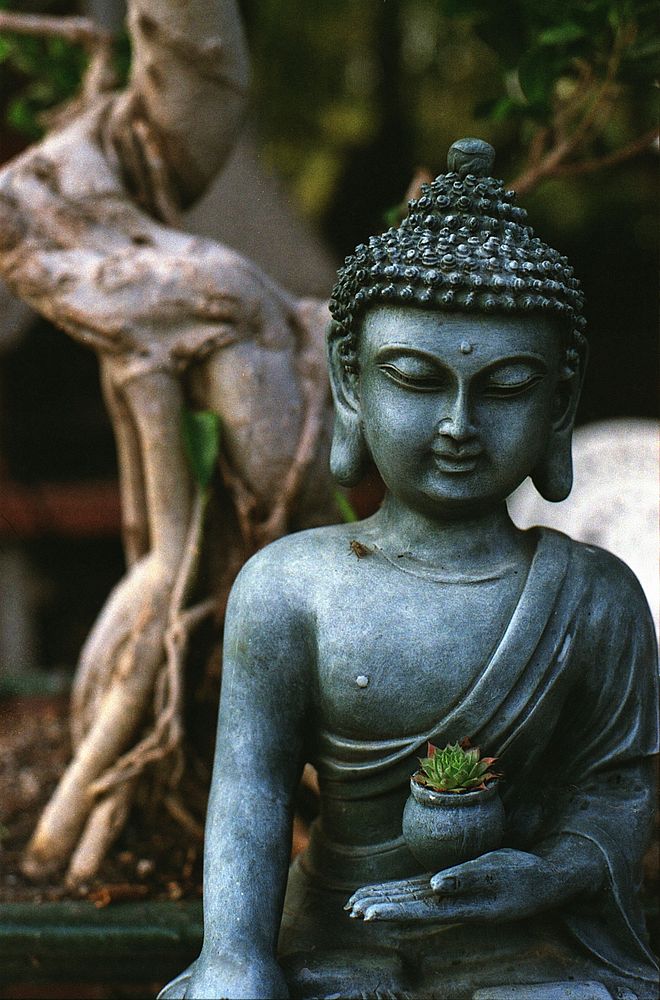 Buddha statue. Free public domain CC0 photo.