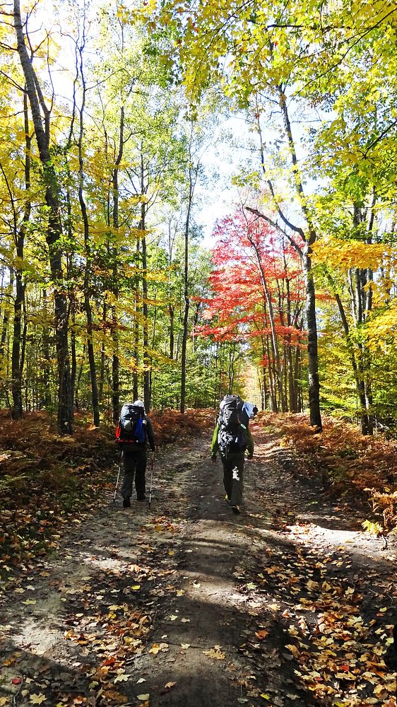 Manistee River Trail. Original public domain image from Flickr