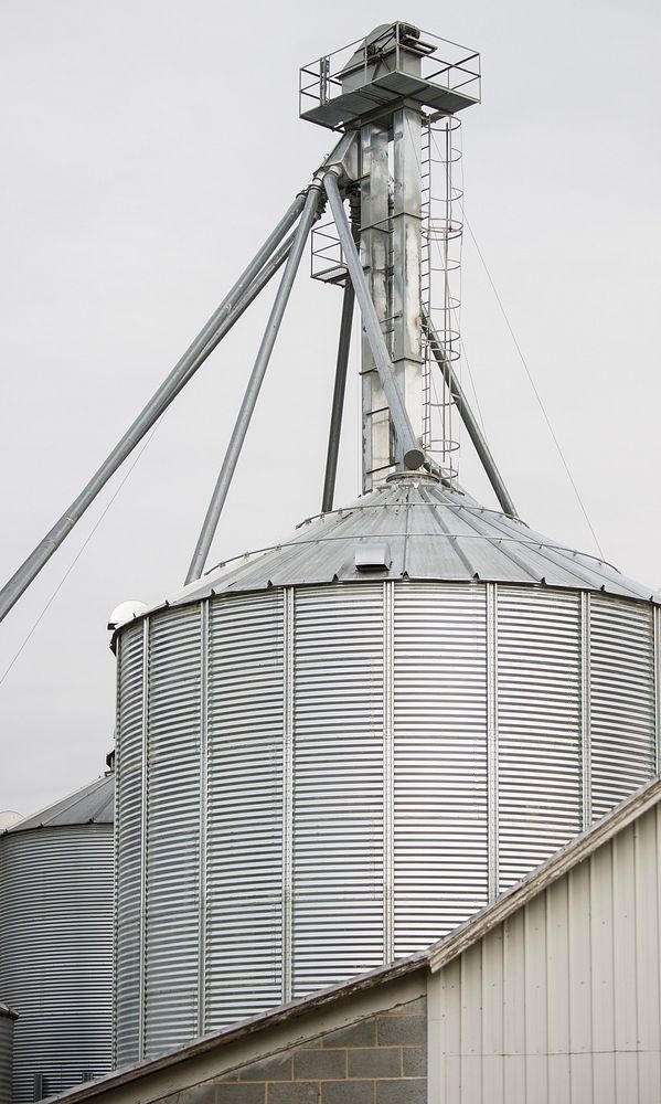 Grain bucket elevator and bin on Rogers Farms in Wakefield, VA, on Dec. 20, 2015.
