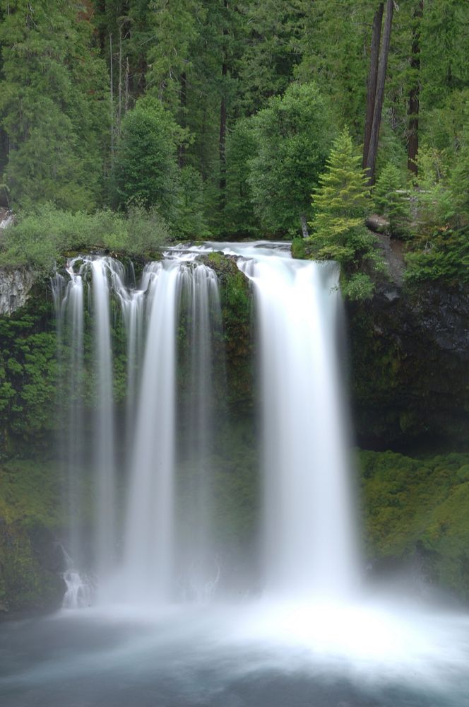 Koosah Falls, Willamette National Forest Willamette National Forest. Original public domain image from Flickr