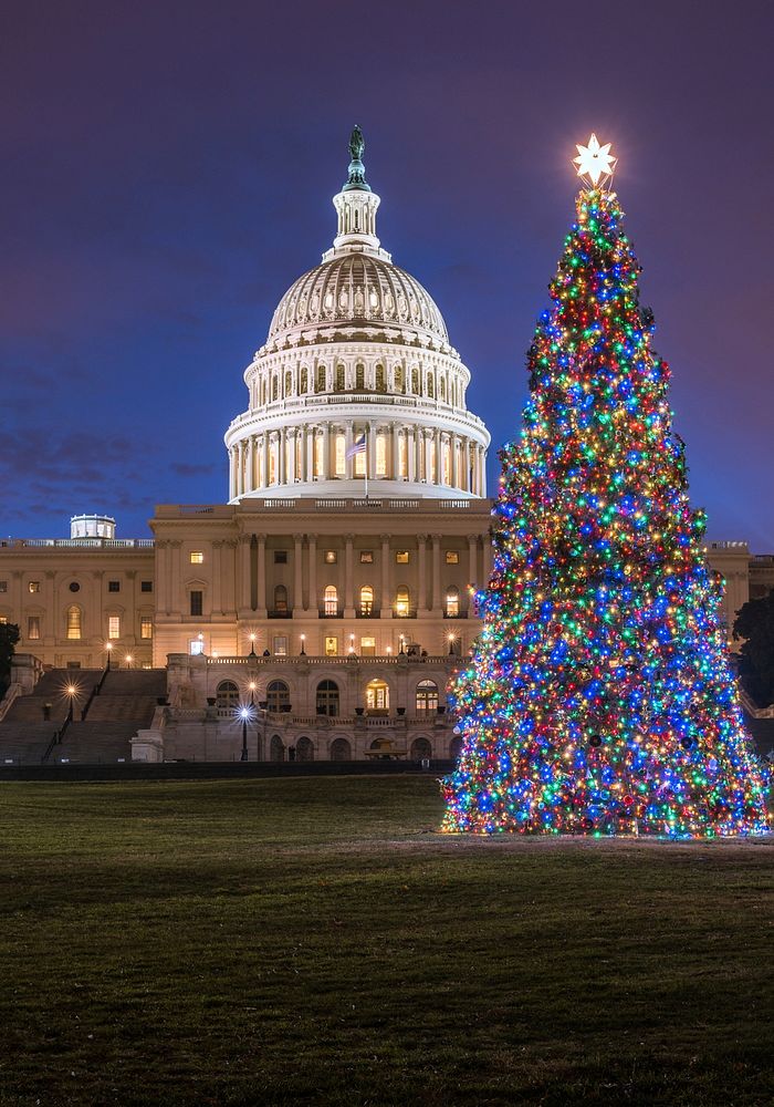 Christmas United States Capitol photo