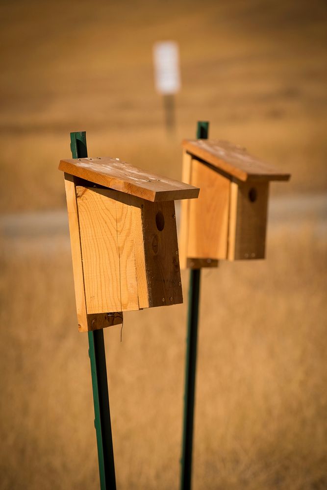 Bird houses on the Lost Trail National Wildlife Refuge in northeastern Montana. Flathead County, Montana. August 2017.…