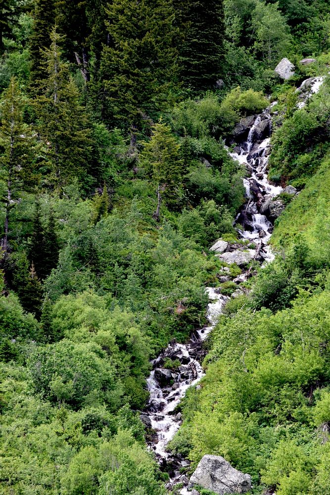 StreamA luscious stream carving out forest.Credit: US Forest Service. Original public domain image from Flickr