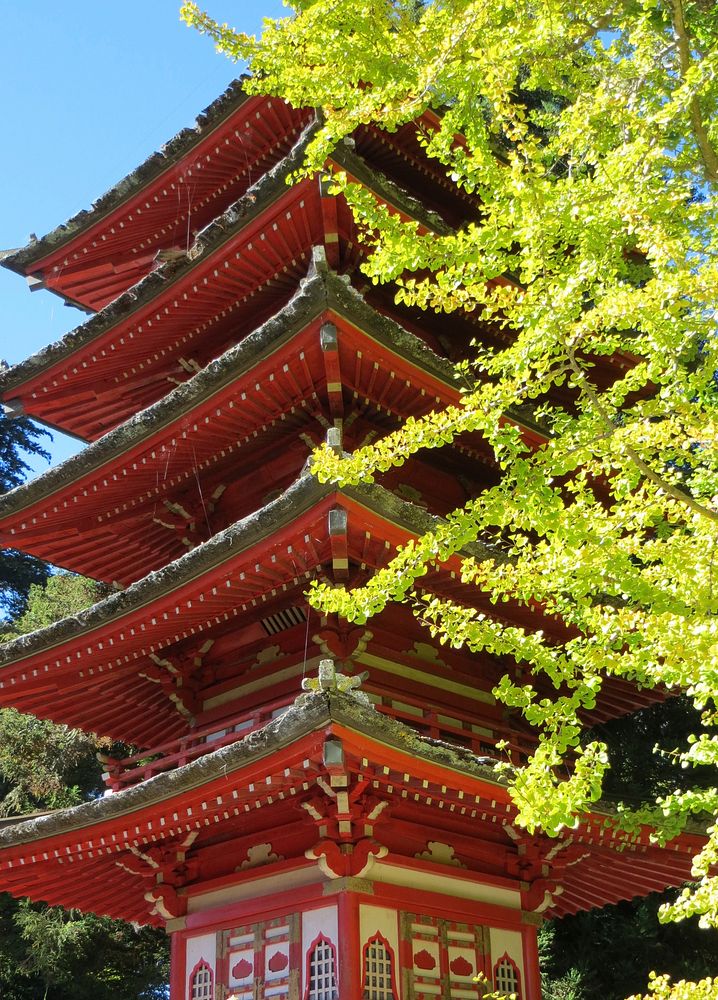 Japanese tea garden in California. Free public domain CC0 photo.