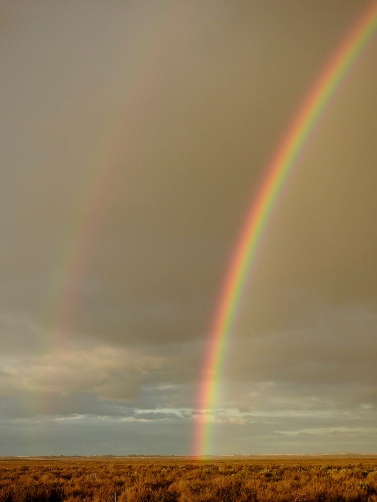 Double rainbow.