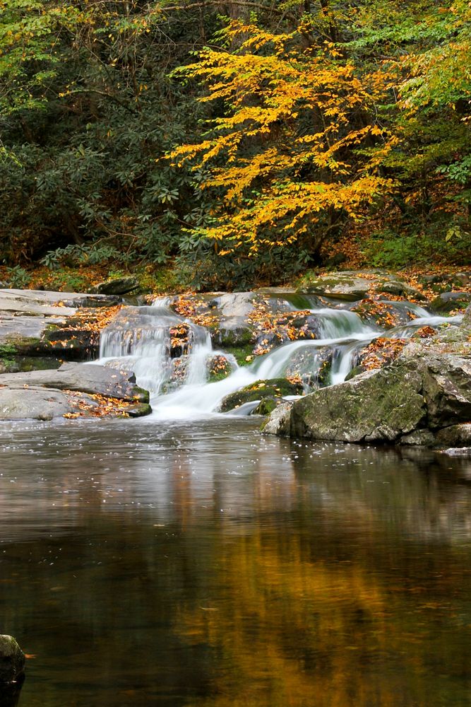 Laurel Creek during Autumn. Original public domain image from Flickr