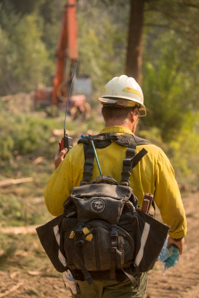 Crescent Mountain Fire, Okanogan-Wenatchee NF, WA, 2018. Photo by Kari Greer. Original public domain image from Flickr