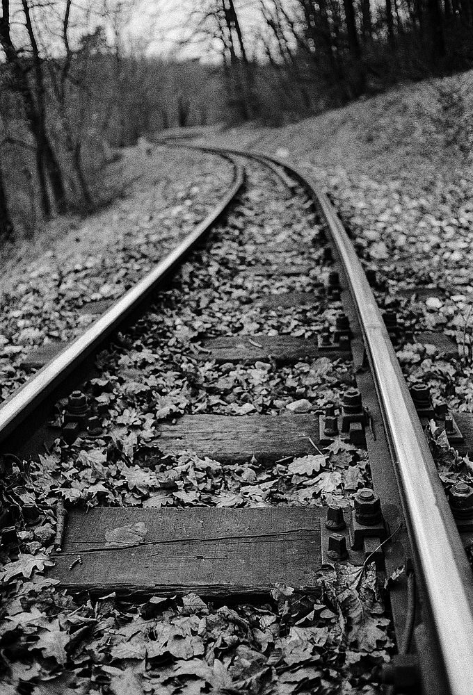 Tracks of the Children's Railway.