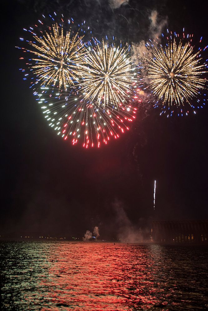 Firework at night. Original public domain image from Flickr