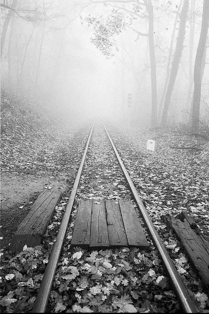 Railroads in fog