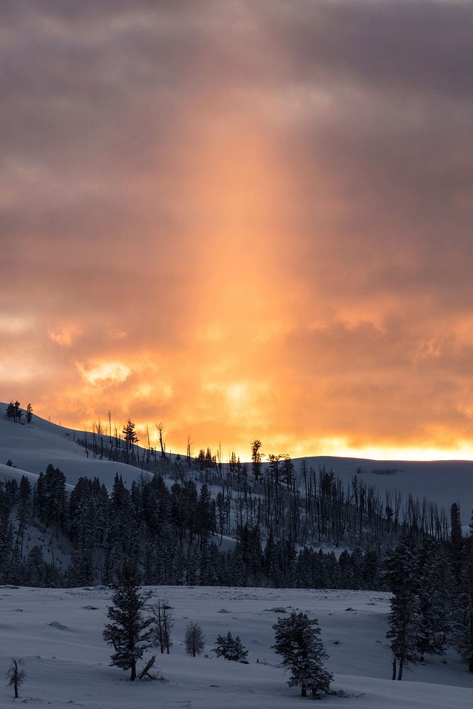 Sunset beam in Lamar Valley by Jacob W. Frank. Original public domain image from Flickr