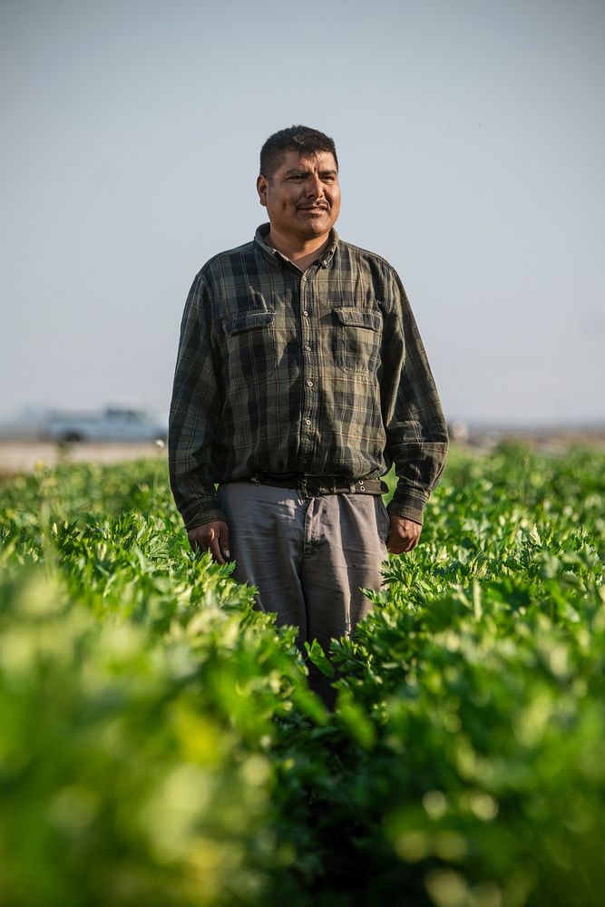 Carlos Gonzalez Torrez is an experienced farmworker, hand picking artichoke, strawberry and Brussels sprouts for companies…