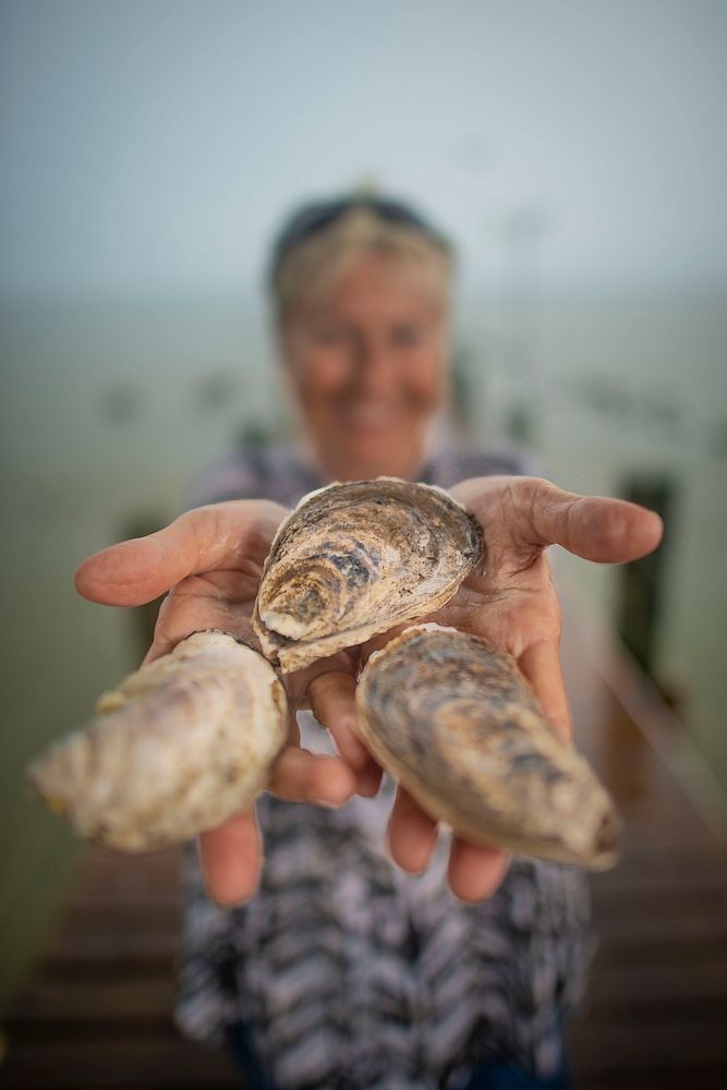 Dottie Lawley, owner of Bama Bay Oyster Farm LLC, produces oysters out of Mobile Bay behind her home since 2017 and markets…