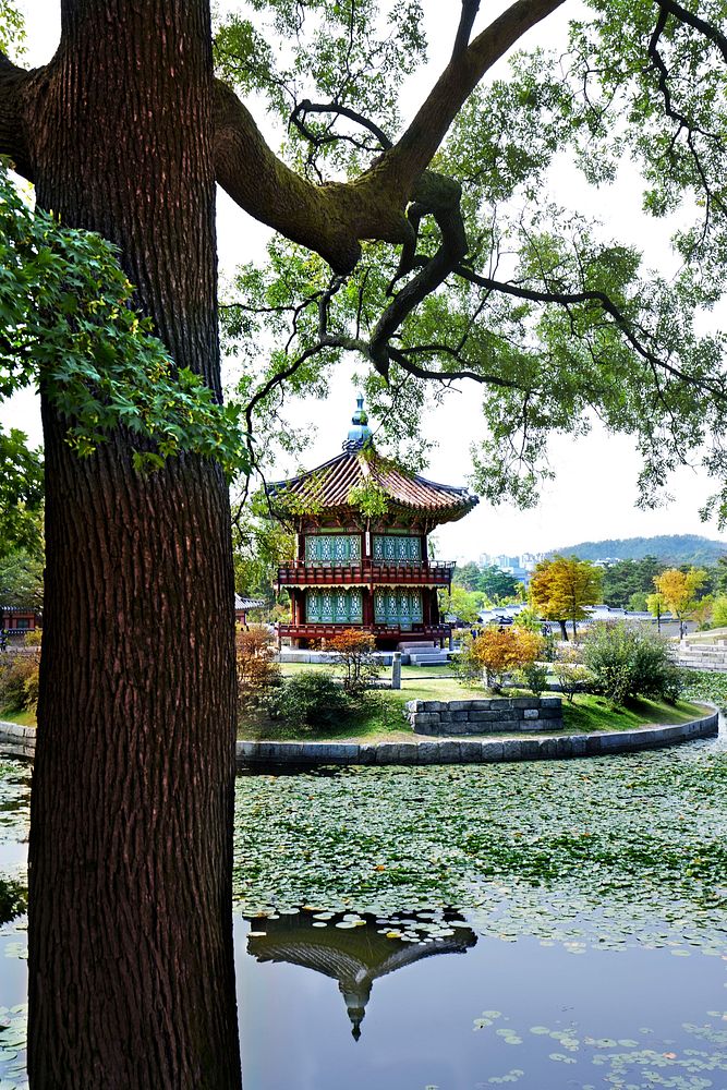 Historic palace in Korea, background. Free public domain CC0 image.