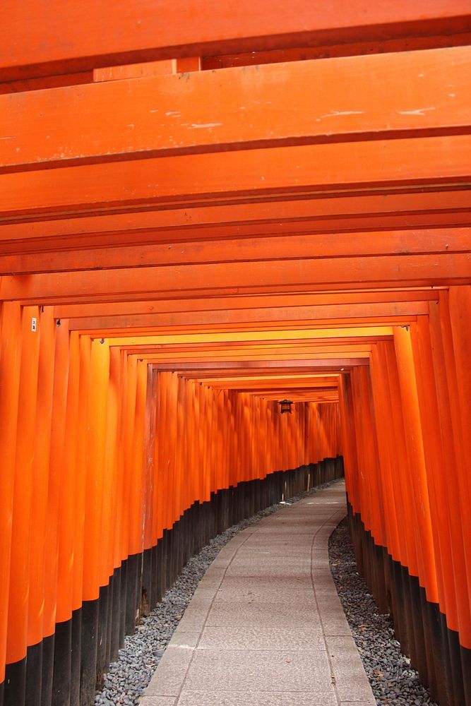 Fushimi Inari shrine, Kyoto, Japan. Free public domain CC0 photo.