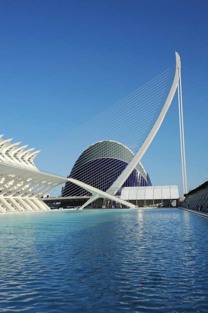 L'Oceanogràfic oceanarium, Valencia, Spain. Free public domain CC0 photo.