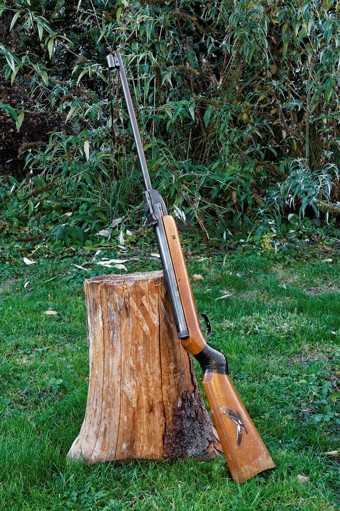 Hunting gun leaning towards tree stump. Free public domain CC0 photo.