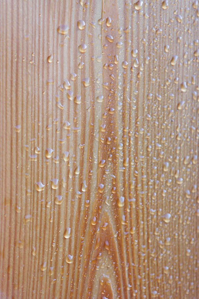 Raindrop on wood. Free public domain CC0 photo.