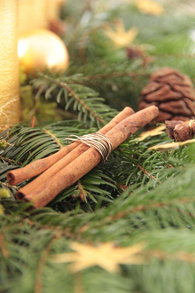 Closeup on cinnamon stick Christmas decoration. Free public domain CC0 photo.