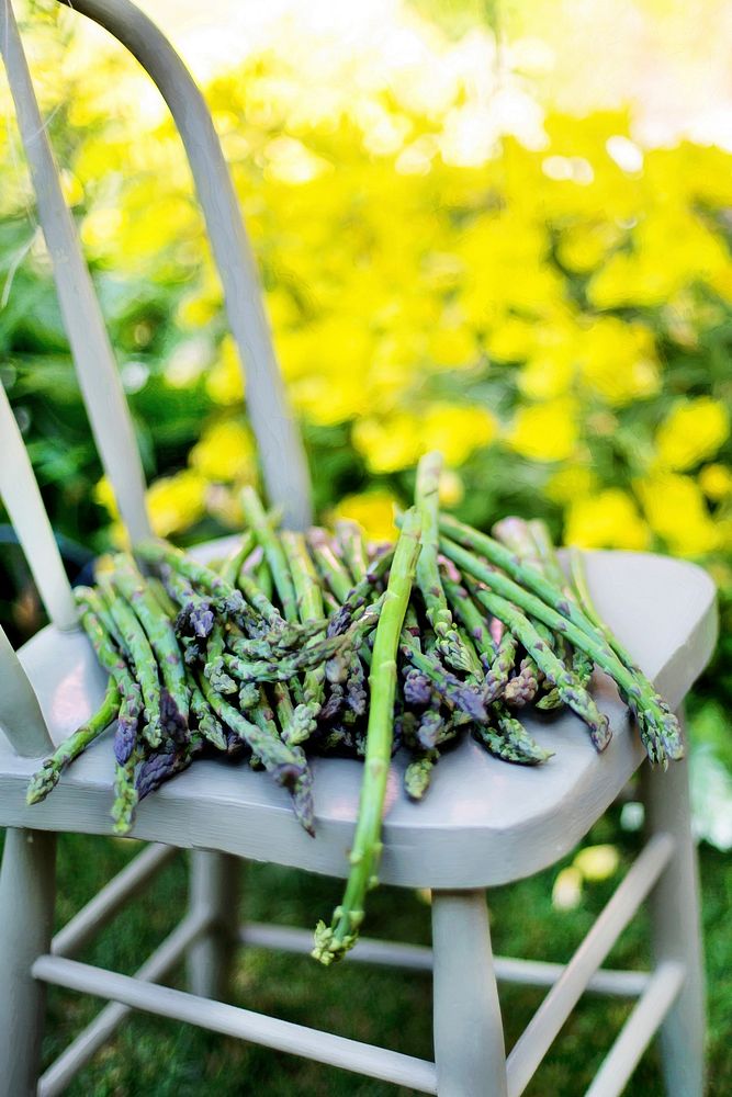 Green asparagus on a chair. Free public domain CC0 image