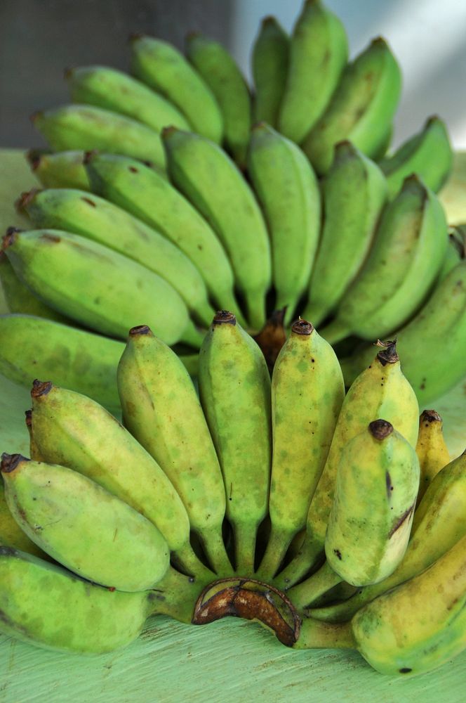 Bunch of green unripe bananas. Free public domain CC0 photo.