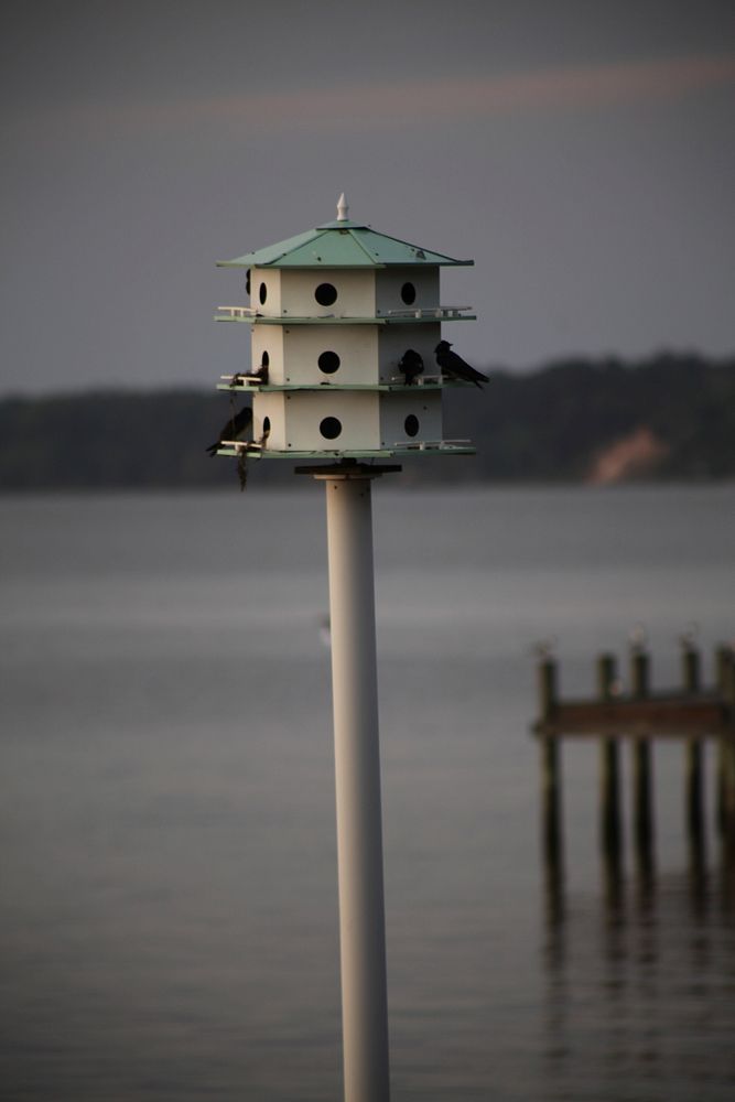 Woden bird house near lake. Free public domain CC0 image.