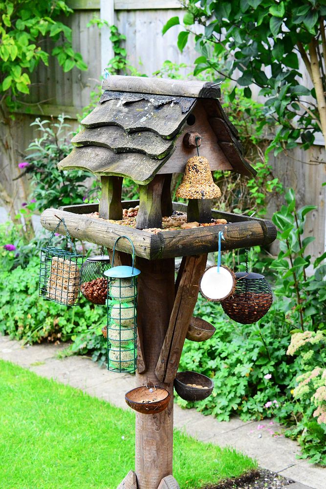 Cute bird house and feeder. Free public domain CC0 photo.