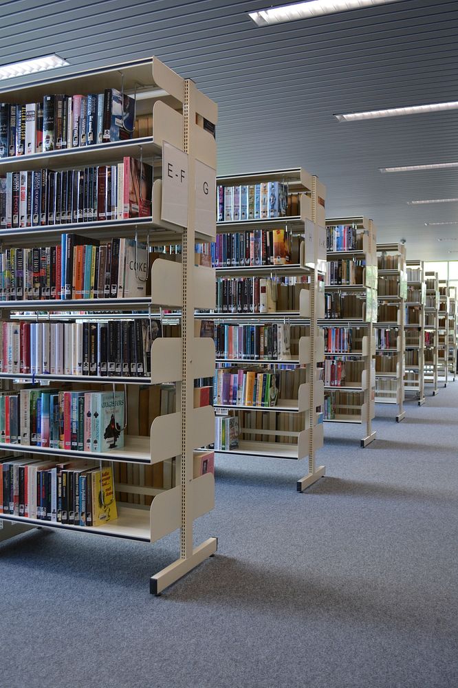 Bookshelf in library. Free public domain CC0 photo