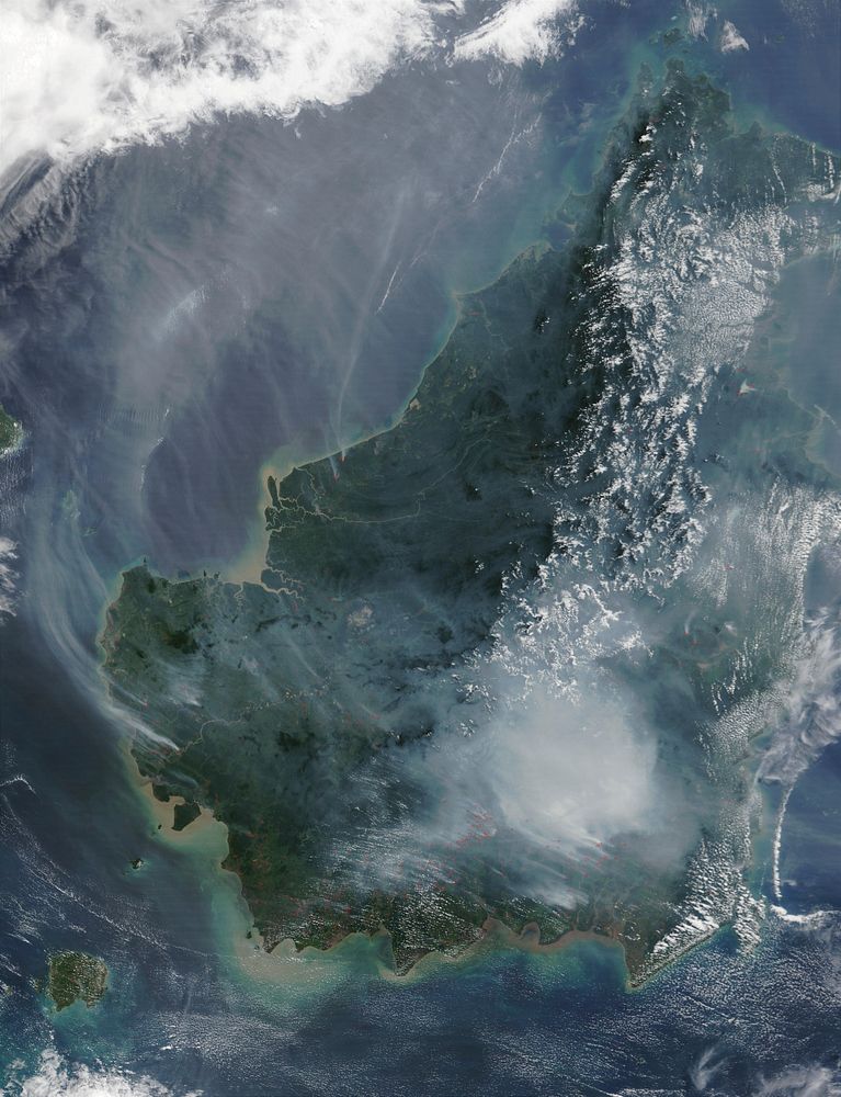 Satellite image of the island of Borneo. Free public domain CC0 image. 