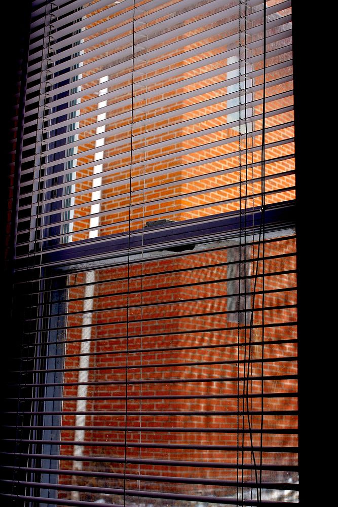 Window blinds close up. Free public domain CC0 photo.