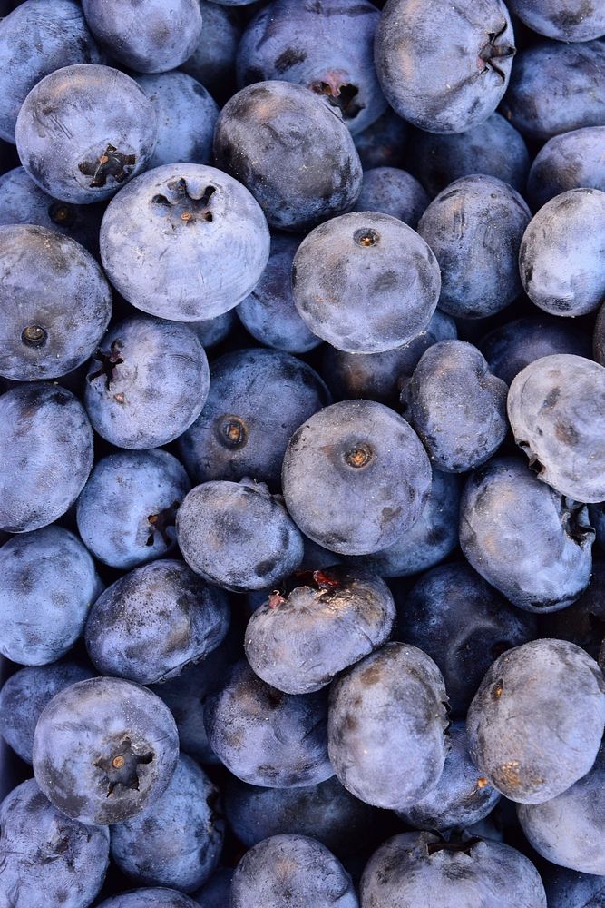 Closeup on pile of fresh blueberries. Free public domain CC0 image. 