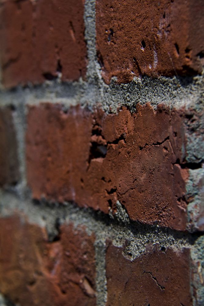 Brick wall texture. Free public domain CC0 photo.