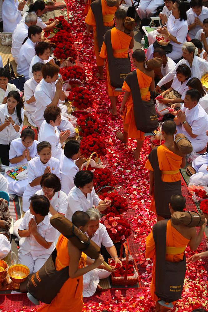 Monks walking on flower petals. Free public domain CC0 photo.
