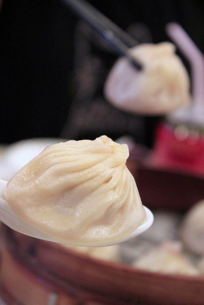 Close up dumpling. Free public domain CC0 photo.