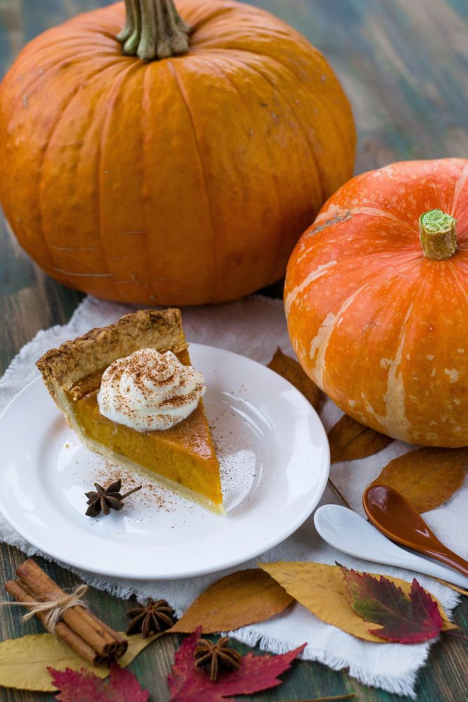 Free pumpkin pie slice on white plate photo, public domain food CC0 image.