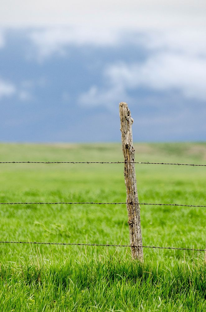 Agricultural farm land. Free public domain CC0 photo