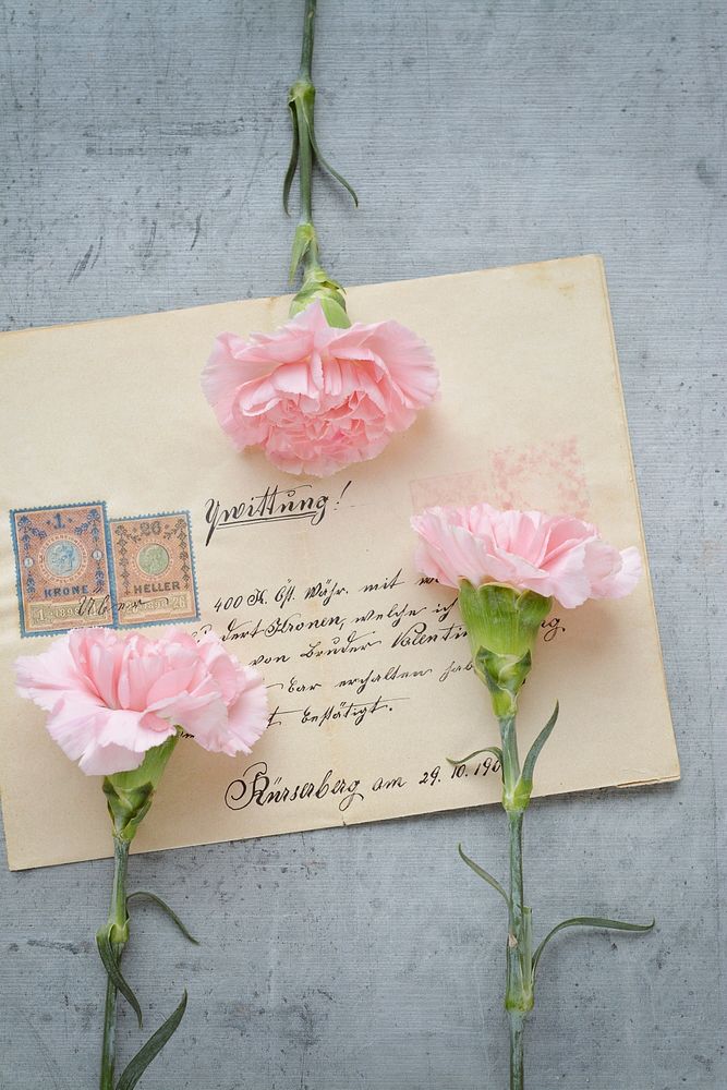 Pink carnations and envelope. Free public domain CC0 photo.