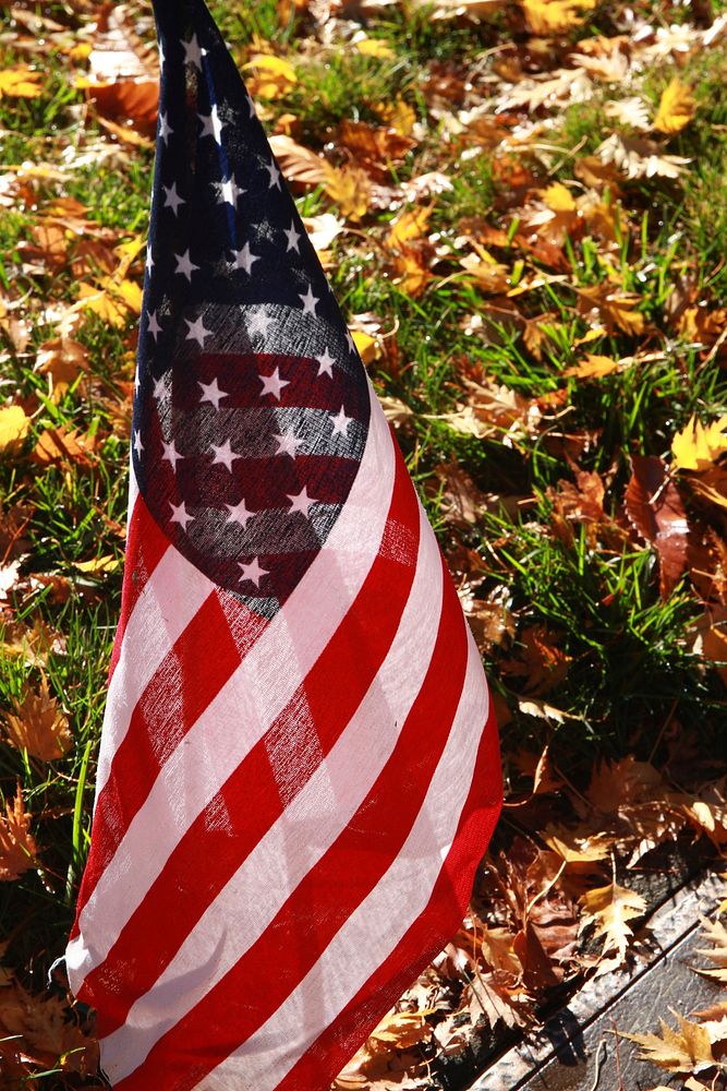 American flag in autumn. Free public domain CC0 photo.