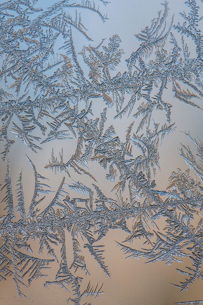 Closeup on ice crystals. Free public domain CC0 image. 