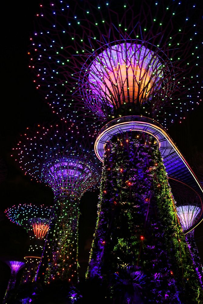Singapore light shows. Free public domain CC0 photo.