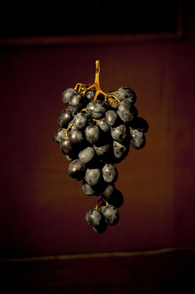 Closeup on red grape. Free public domain CC0 photo.