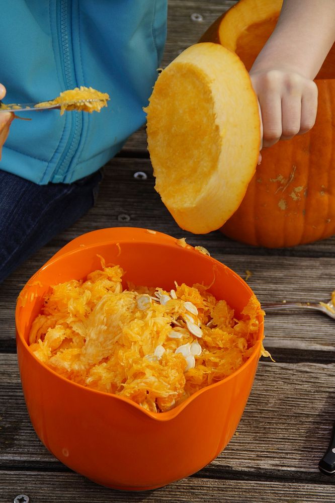 Pumpkin seeds and meat. Free public domain CC0 photo.